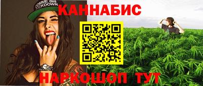 индика Бийск