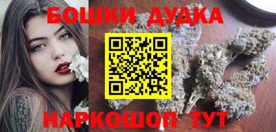 индика Бийск