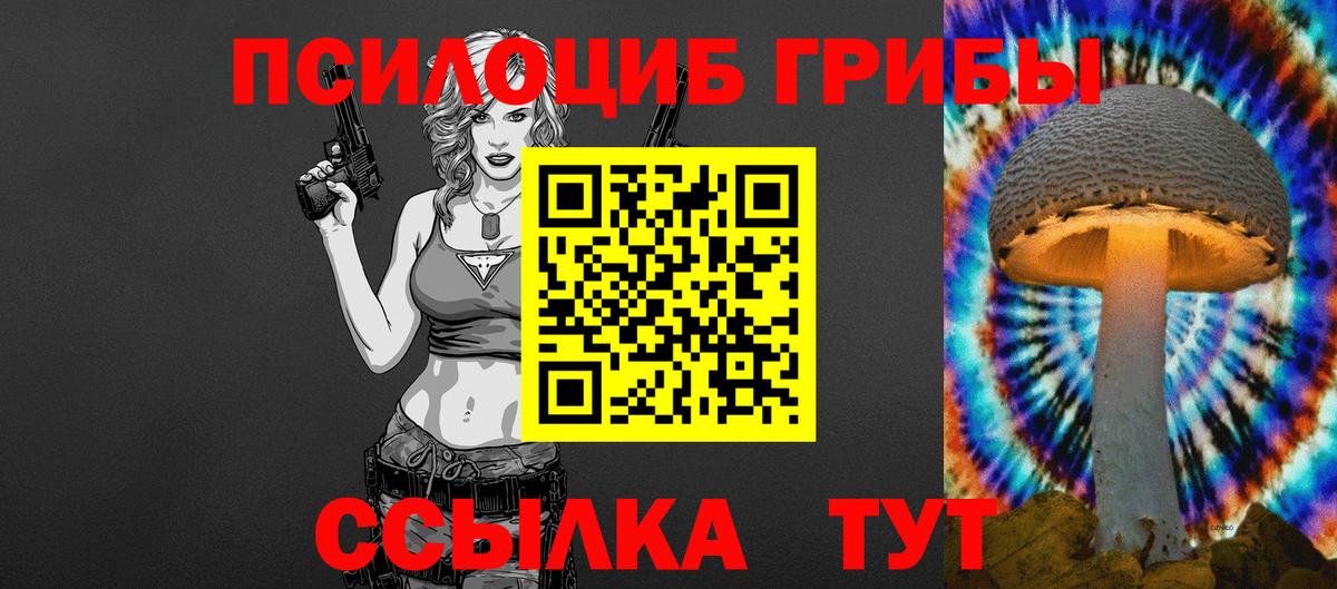 Галлюциногенные грибы GOLDEN TEACHER Кизилюрт